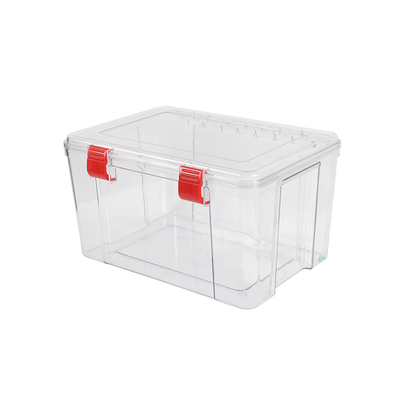 Storage storage box mould with clip and lid